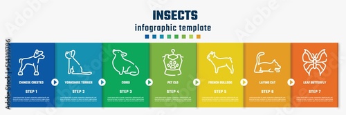 insects concept infographic design template. included chinese crested, yorkshire terrier, corgi, pet clo, french bulldog, laying cat, leaf butterfly icons and 7 option or steps.