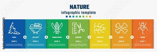 nature concept infographic design template. included eagle, cat bath, winged insect, groomer, tarantula, bones, spider icons and 7 option or steps.