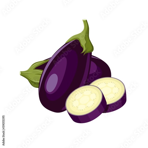 Vector illustration, eggplant or Solanum melongena, isolated on white background, farm produce design.