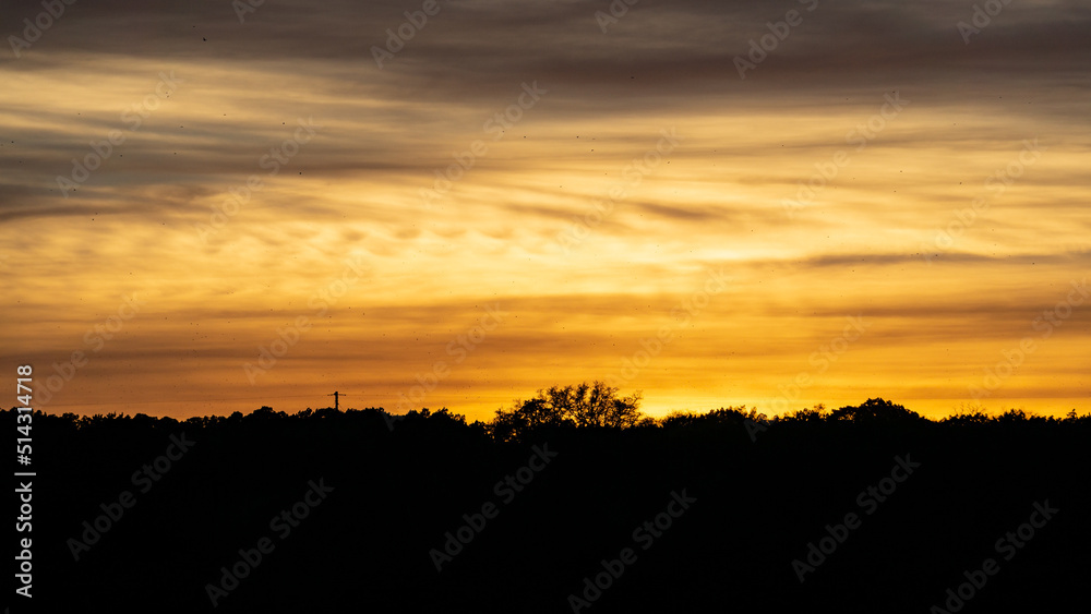 sunset in the field