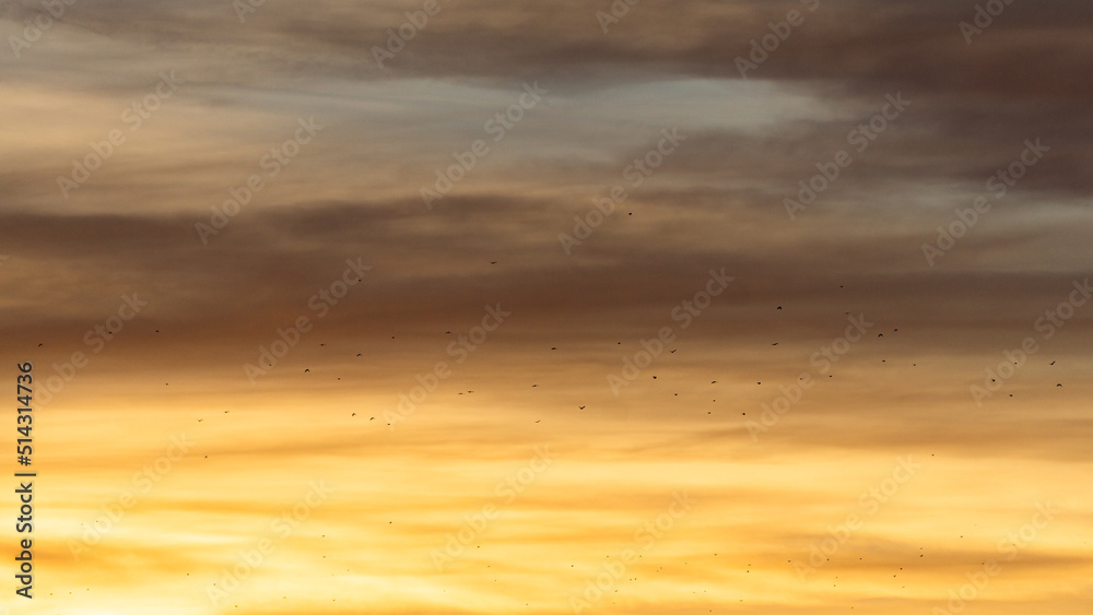 Fototapeta premium sunset in the clouds