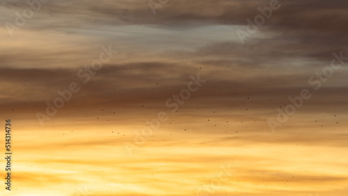 sunset in the clouds