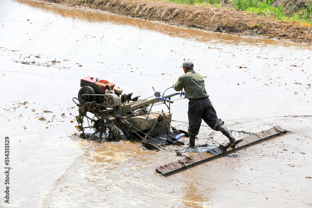 farmers level the land in paddy fields to prepare for transplanting rice seedlings, North China farmers level the land in paddy fields to prepare for transplanting rice seedlings, North China