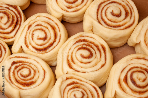 Blanks of cinnamon rolls dough are on greased parchment paper.