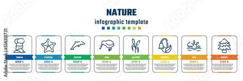 nature concept infographic design template. included turban, starfish, dolphin, kiwi, bulrush, harebell, sun, spruce icons and 8 steps or options.