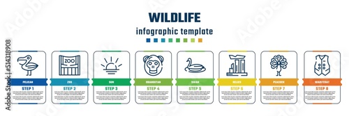 wildlife concept infographic design template. included pelican, zoo, sun, orangutan, swan, relics, peacock, waistcoat icons and 8 steps or options.