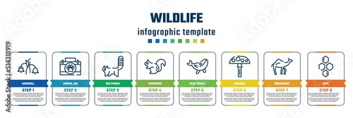 wildlife concept infographic design template. included harebell, animal aid, red panda, chipmunk, blue whale, amanita, dromedary, hive icons and 8 steps or options.