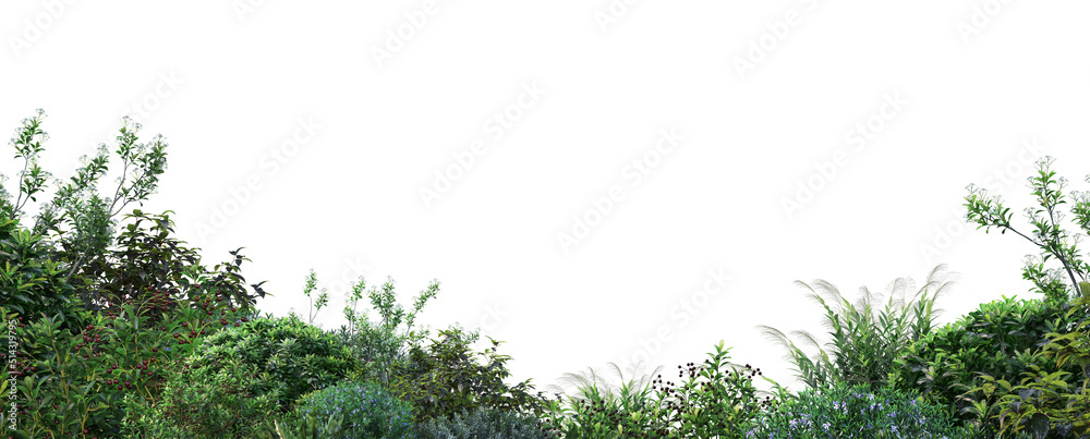 Fototapeta premium Garden with flowers and shrubs on a white background