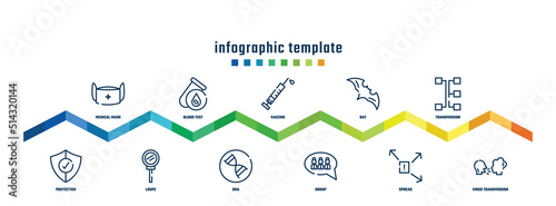 concept infographic design template. included medical mask, protection, blood test, loupe, vaccine, dna, bat, group, transmission, virus transmission icons.