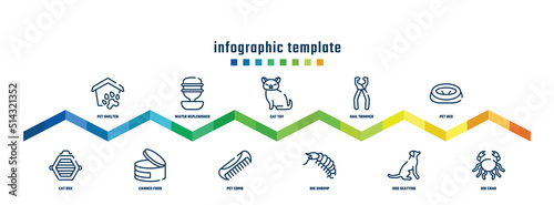 concept infographic design template. included pet shelter, cat box, water replenisher, canned food, cat toy, pet comb, nail trimmer, big shrimp, pet bed, big crab icons.