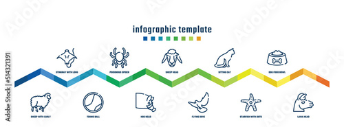 concept infographic design template. included stingray with long tail, sheep with curly wool, poisonous spider, tennis ball, sheep head, hog head, sitting cat, flying dove, dog food bowl, lama head