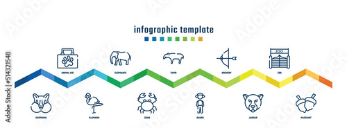 concept infographic design template. included animal aid, chipmunk, elephants, flamingo, tapir, crab, archery, guard, zoo, hazelnut icons.