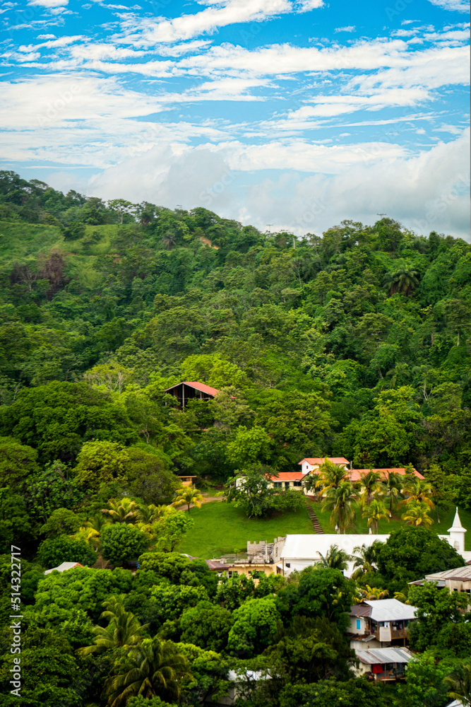 Jungle landscape in central America