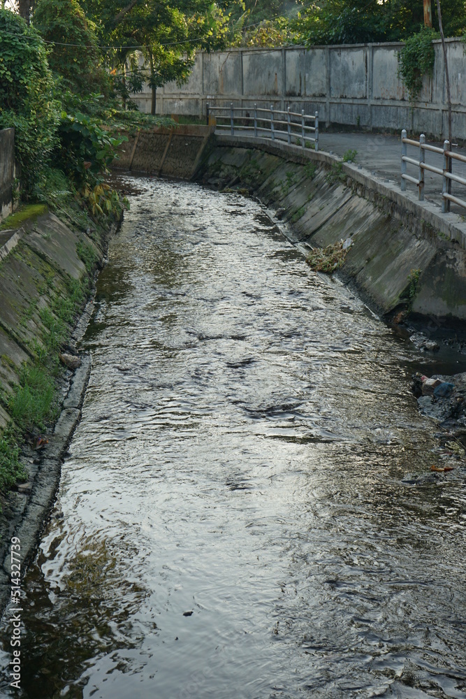 river in the forest