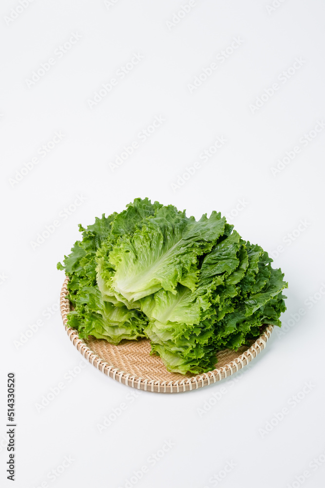 아삭이상추
아삭이상추