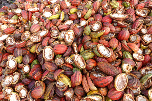 Background of cocoa pod husk waste  photo