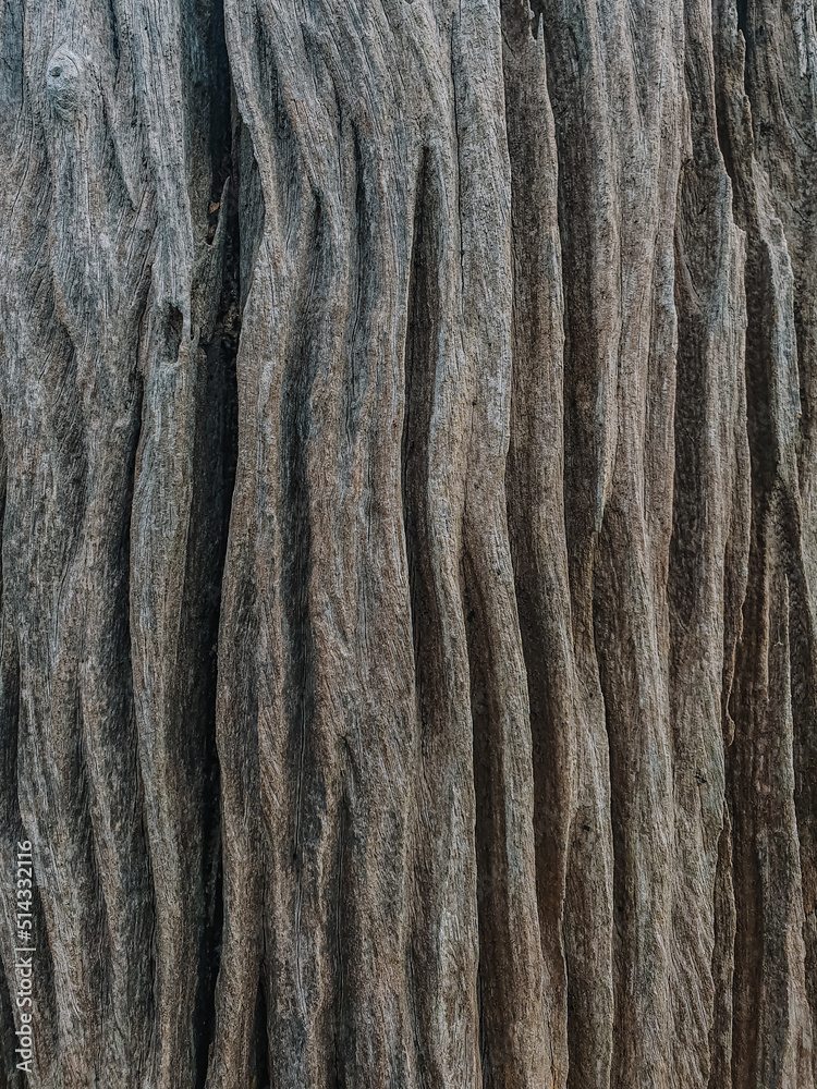 Old wooden background. Wooden table or floor. Cracks of wood texture, Natural patterns. Old wooden background. Wooden table or floor. Cracks of wood texture, Natural patterns.