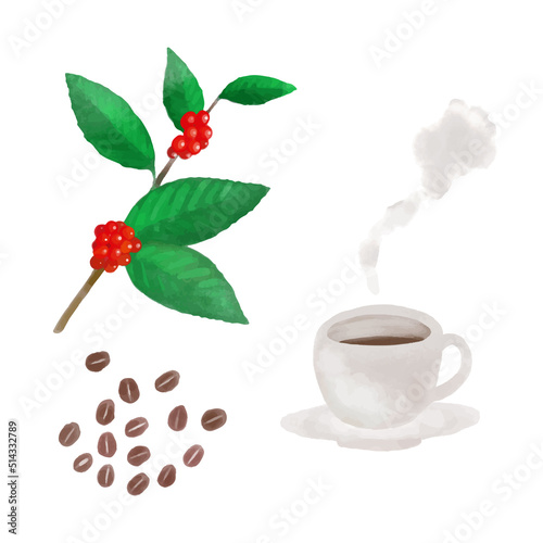 水彩風のコーヒー豆のイラストセット