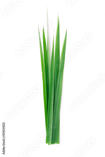 Tip of lemongrass leaf isolated on white background , top view , flat lay.