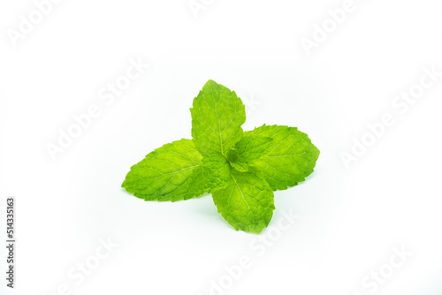 Fresh spearmint leaf on white background.