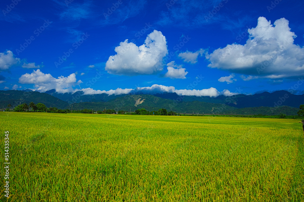 Fototapeta premium Green rice fields. Blue sky, white clouds, mountains are like idyllic paintings. 30 hectares of rice cultivation area. Yushan Nan'an Visitor Center, Hualien, Taiwan. 2022