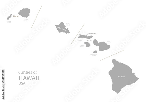 Counties of Hawaii USA state highly detailed gray map. Hawaiian editable administrative map with territory borders and counties names labeled realistic vector illustration