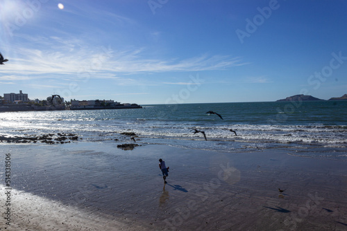 Feed the birds 
Mazatlan, Sinaloa Mexico 