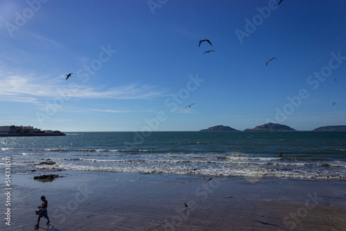 Feed the birds 
Mazatlan, Sinaloa Mexico 