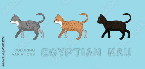 Obraz na płótnie Cat Egyptian Mau Coloring Variations Vector Illustration