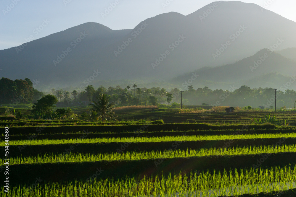 Beautiful morning mist view on Indonesian mountains and rice fields