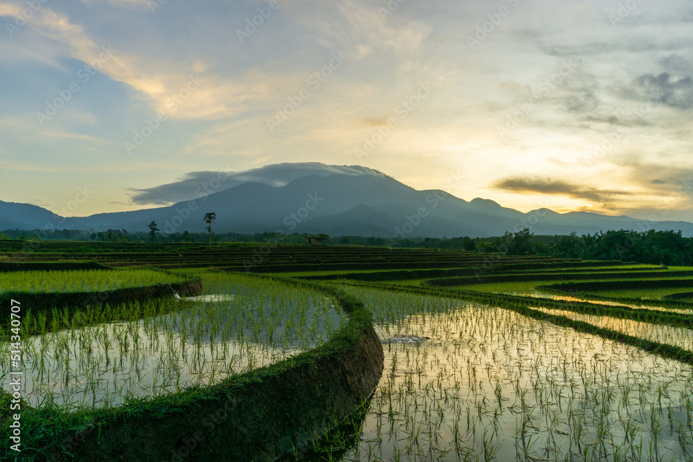 Sunrise view on mountains and rice fields in Indonesia