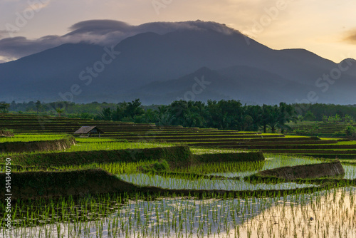 the view of the reflection of the morning sun shining over the green Indonesian rice fields