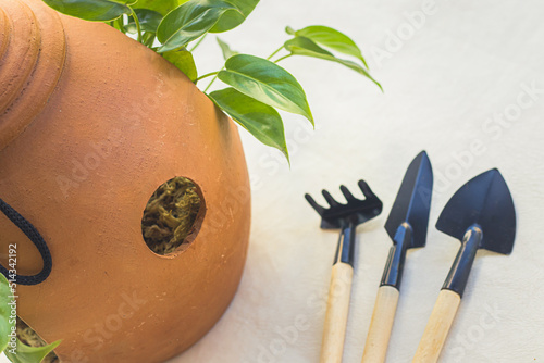 Jarro de barro com planta e ferramenta de jardinagem para cultivo em apartamento photo