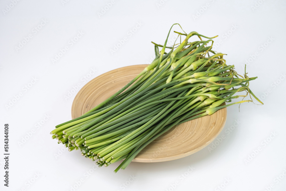 마늘쫑
마늘쫑