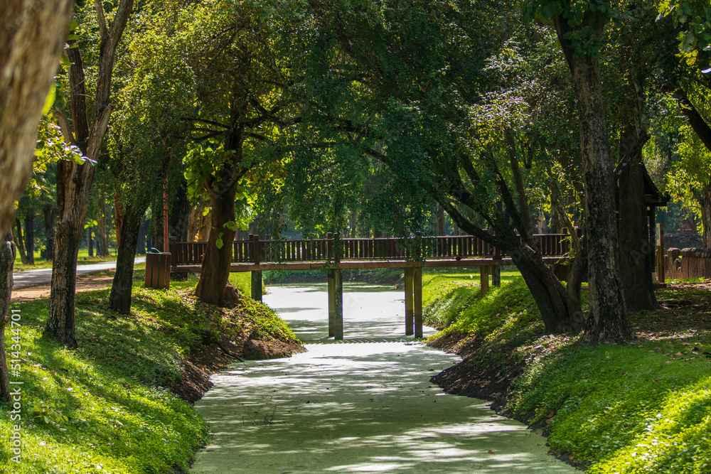 footpath in the park