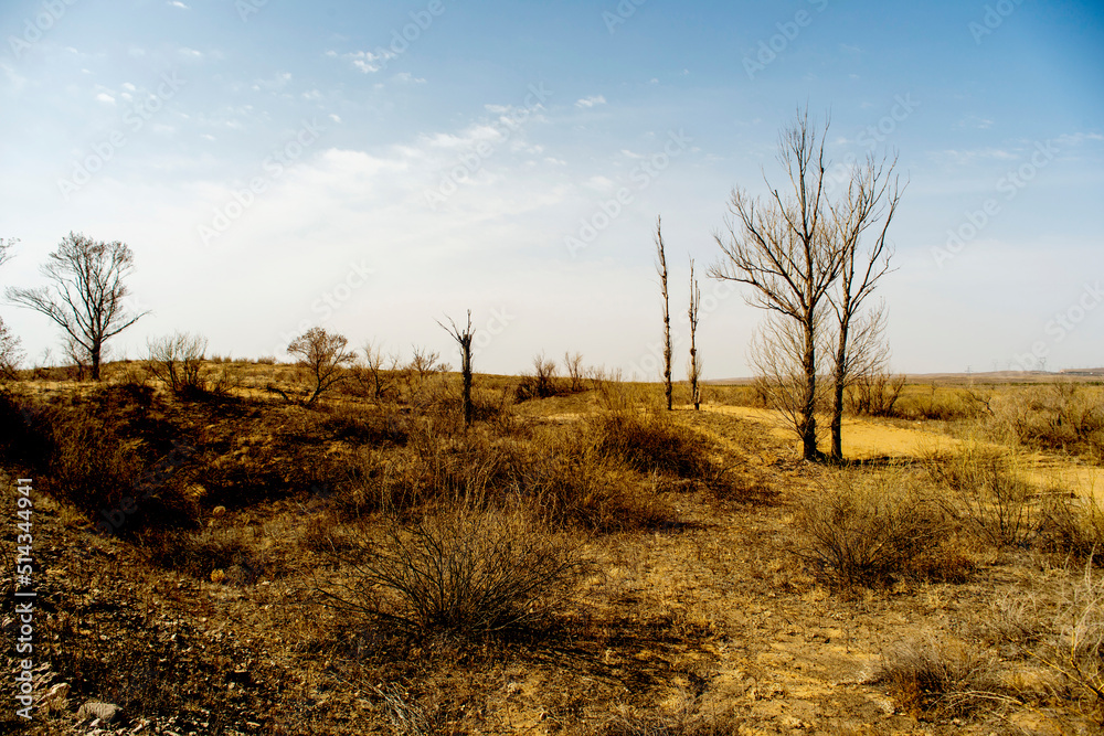 Desert landscapes in arid regions
