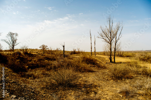 Foto Desert landscapes in arid regions