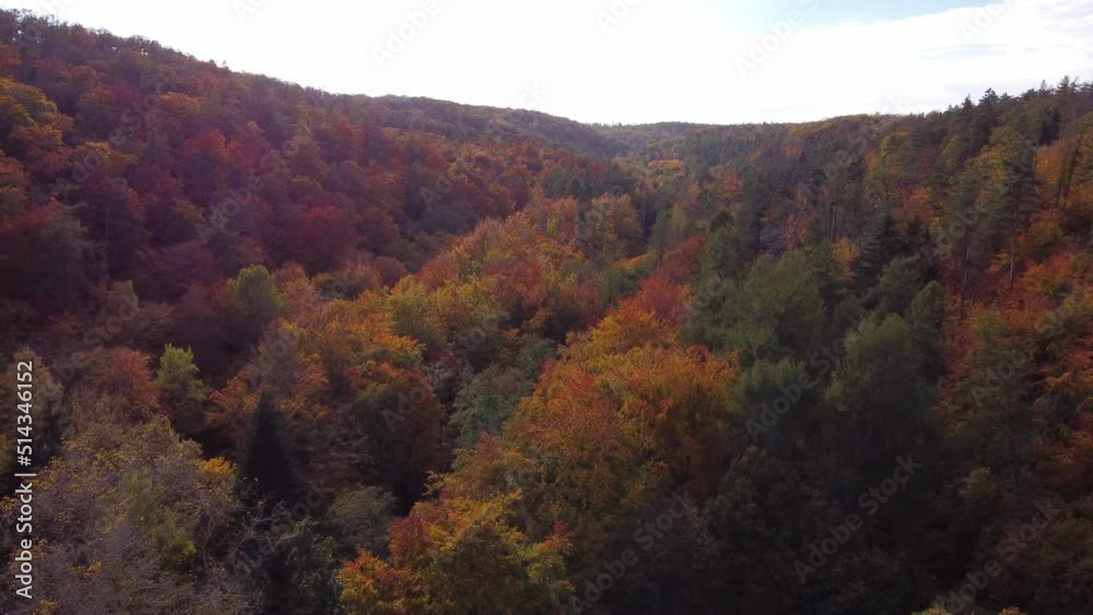 Aerial view of incredibly colourful autumn forest Aerial view of incredibly colourful autumn forest