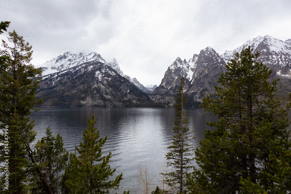 Lake surrounded by Trees and Mountains in American Landscape. Spring Season. Jenny Lake, Grand Teton National Park. Wyoming, United States. Nature Background.