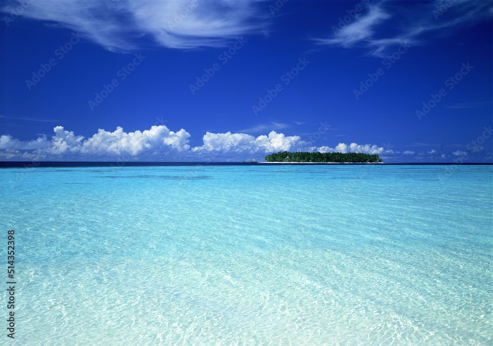 Fototapeta premium 青空と海