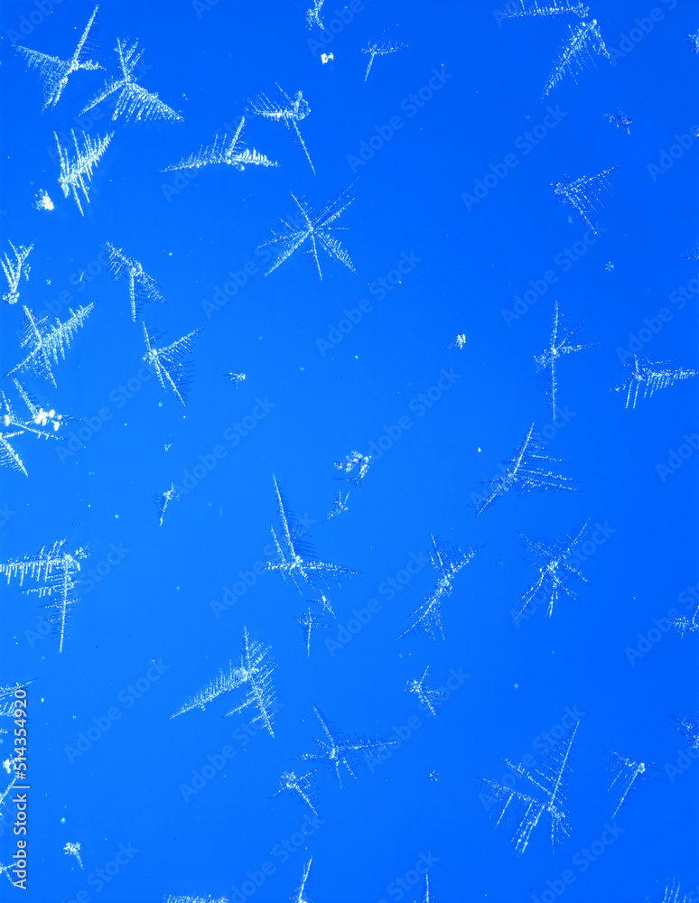 雪の結晶 雪の結晶