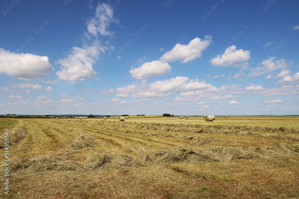 Landscape with harvested fields and rolls of hay
