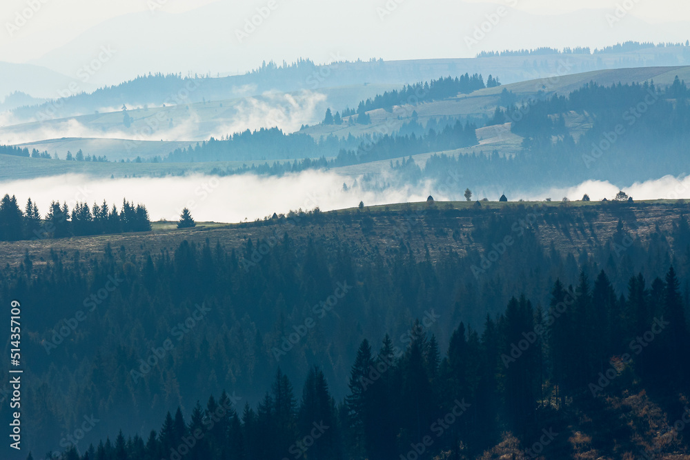 foggy travel scenery in mountains. wonderful autumn morning landscape with forests on hills