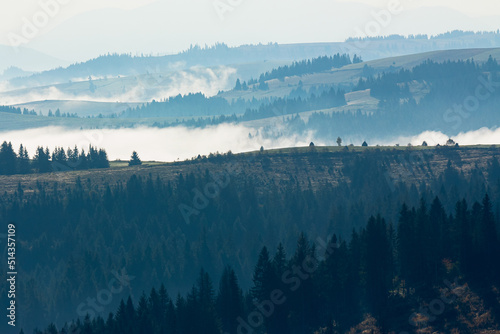 foggy travel scenery in mountains. wonderful autumn morning landscape with forests on hills © Pellinni
