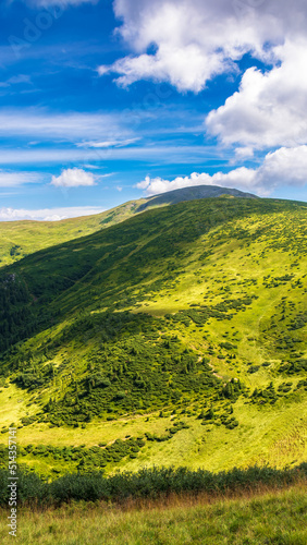 natural summer landscape with mountain valley. idyllic outdoor scenery of carpathian alps with fresh green meadows. warm sunny weather with gorgeous fluffy clouds on a blue sky