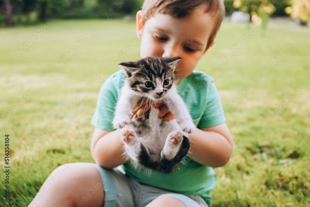 Little kid sitting on grass with kitten in his hands Little kid sitting on grass with kitten in his hands