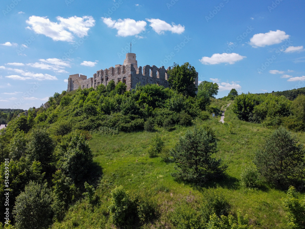 Castle ruins in Rabsztyn, Poland.