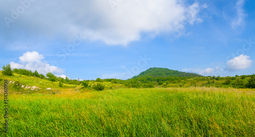 mountain valley covered by green grass