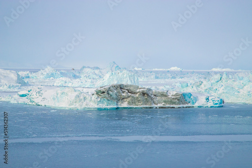 Iceberg in Arctic Greenland 