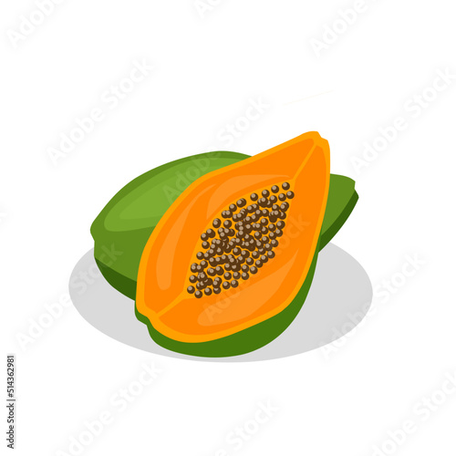 Papaya fruit illustration image. Papaya fruit icon, fruits